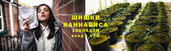 трава Нея