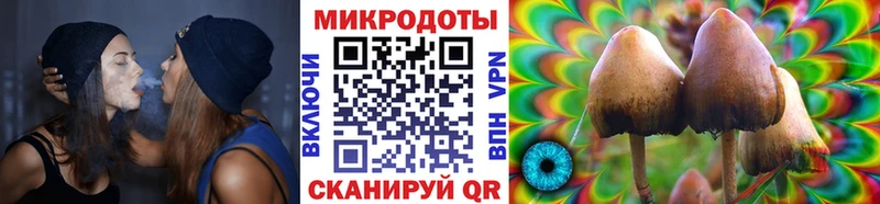 Псилоцибиновые грибы мухоморы  Купить где  Бакал 