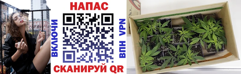 Марихуана Ganja Бакал