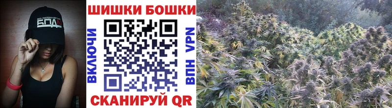 Шишки марихуана план  Купить где  Бакал 